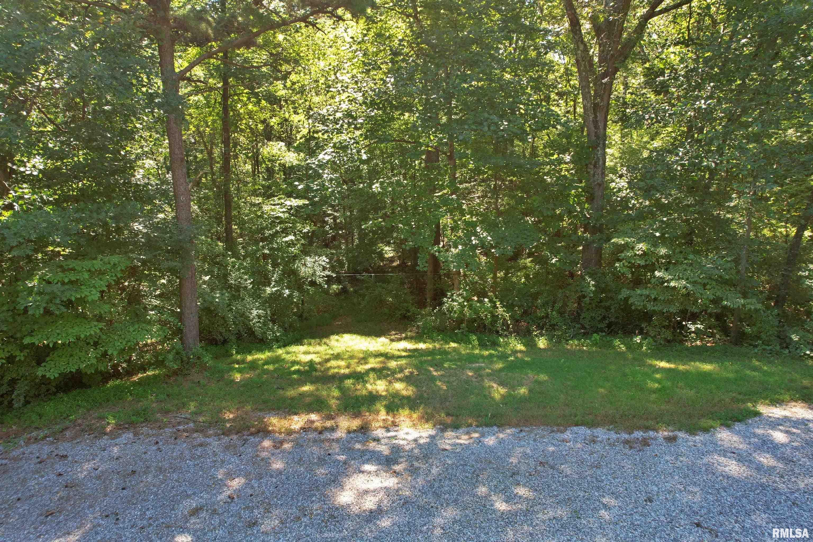 0 Lusk Road Golconda, IL 62938 - Photo 20 of 24