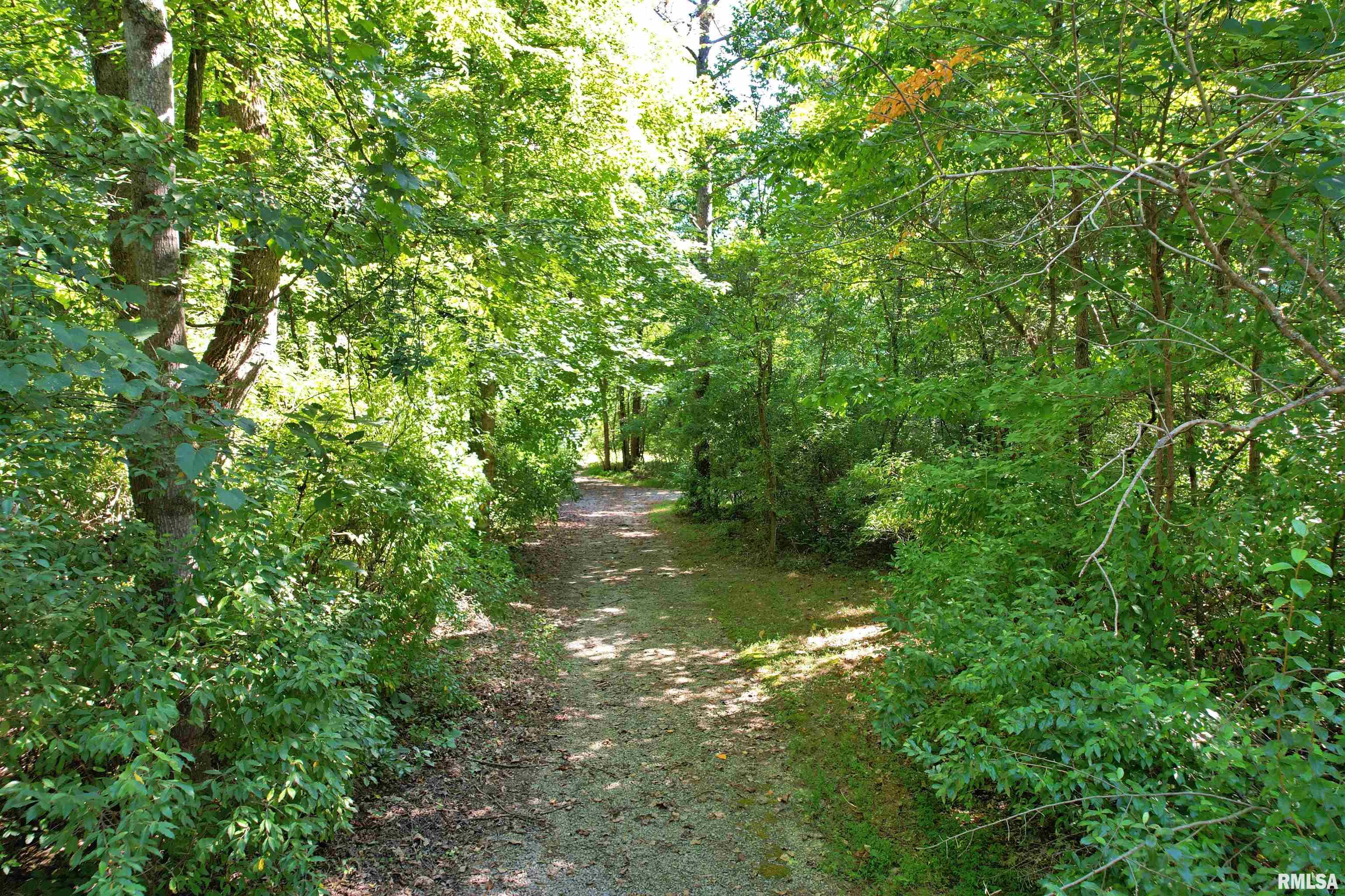 0 Lusk Road Golconda, IL 62938 - Photo 23 of 24