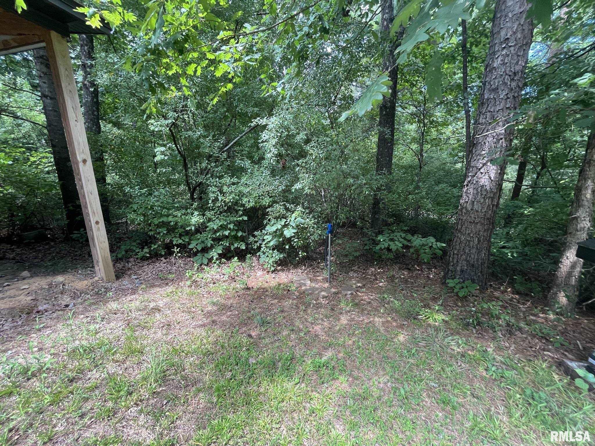 0 Lusk Road Golconda, IL 62938 - Photo 9 of 24