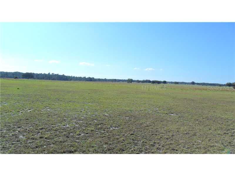 439 County Road Umatilla, FL 32784 - Photo 1 of 1 Land