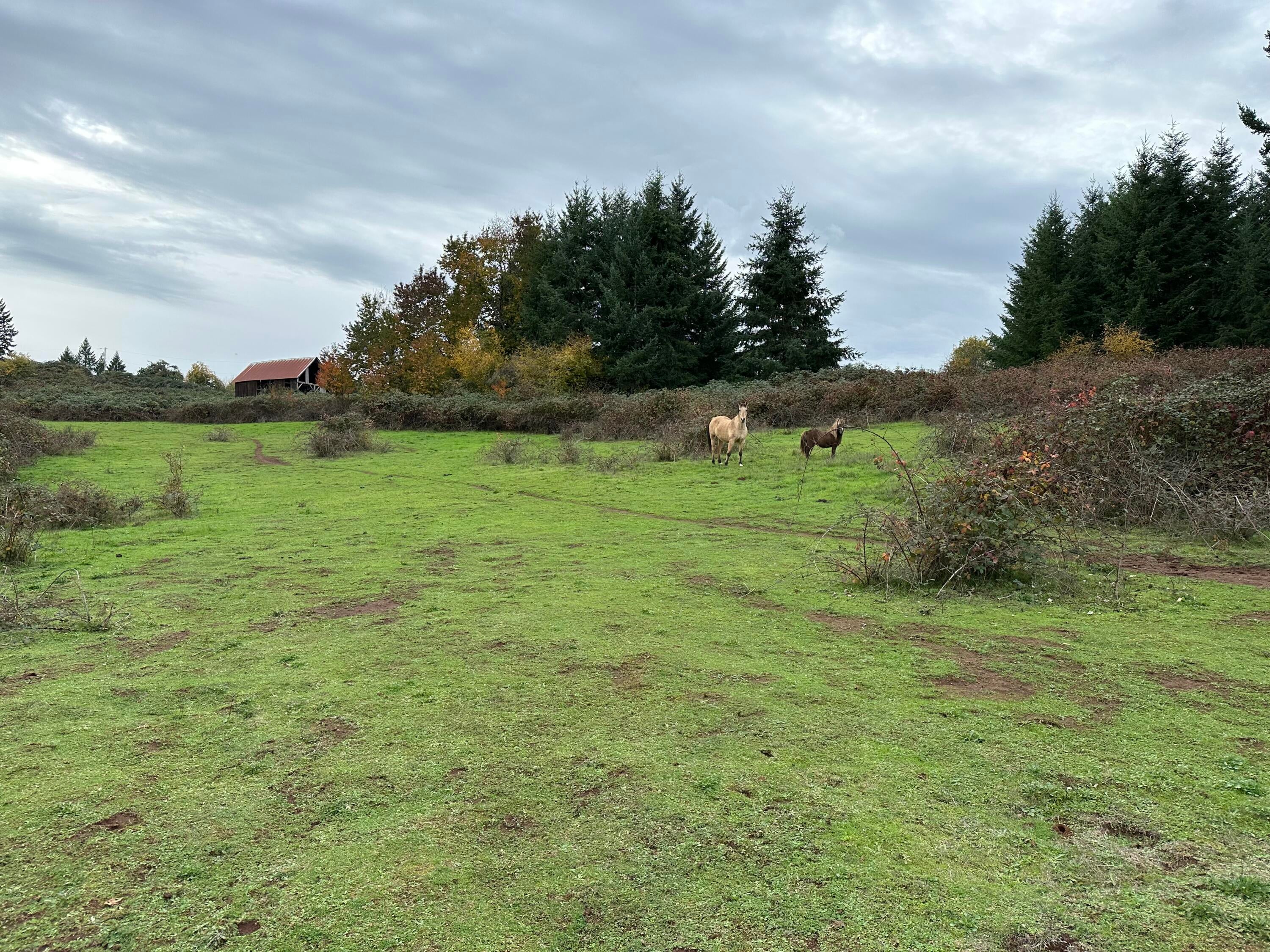 28003 South Gard Road Mulino, OR 97042 - Photo 6 of 43 IMG_4398