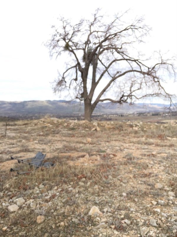 19774 Banducci Road Tehachapi, CA 93561 - Photo 3 of 21 Gallery Image 3
