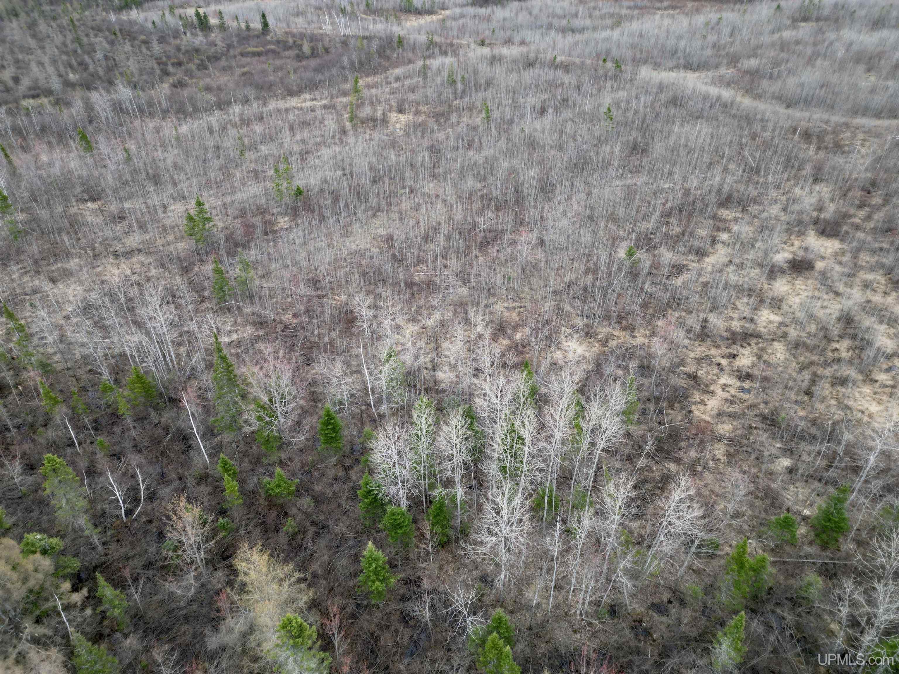 80 North Rd Rock Mi 49880 Road Rock, MI 49880 - Photo 10 of 12