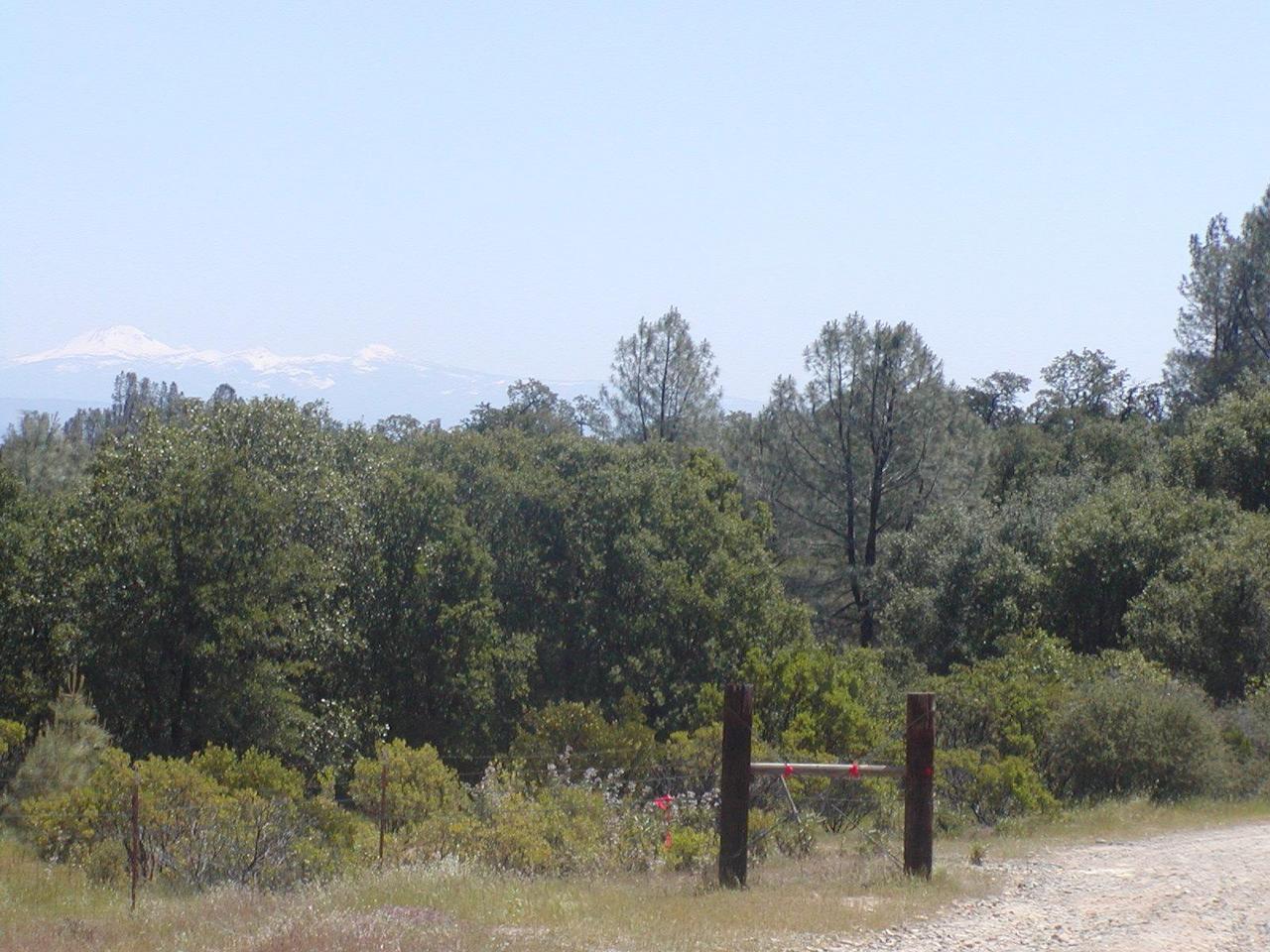 1.6 Coal Pit Road Igo, CA 96047 - Photo 1 of 6 Listing Photo