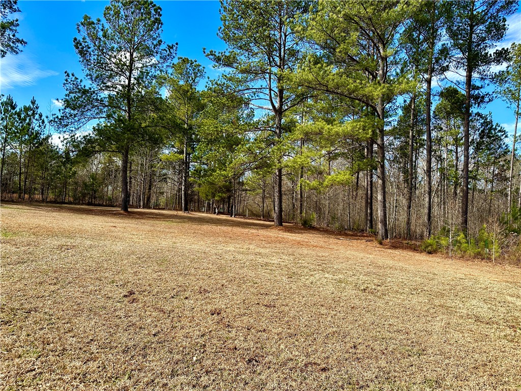 426 Benton Road Belton, SC 29627 - Photo 14 of 37 Gallery Image 14
