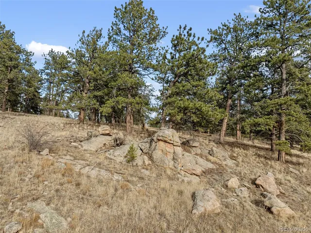 a view of bushes and trees