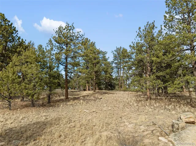 a view of wooden fence