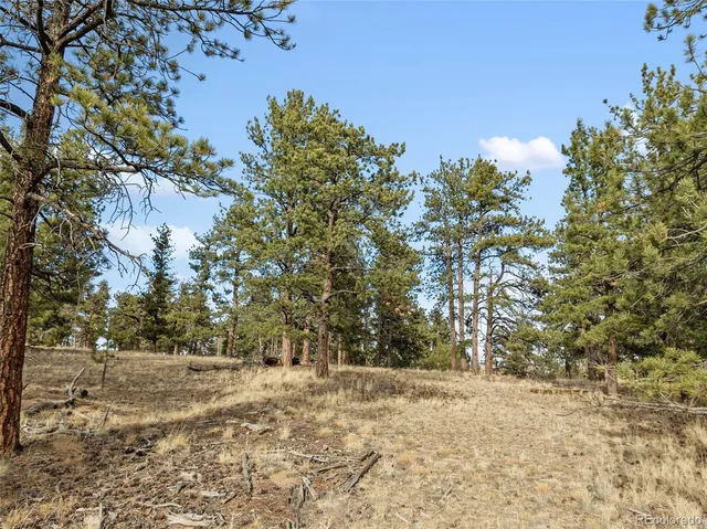 a view of a yard with trees