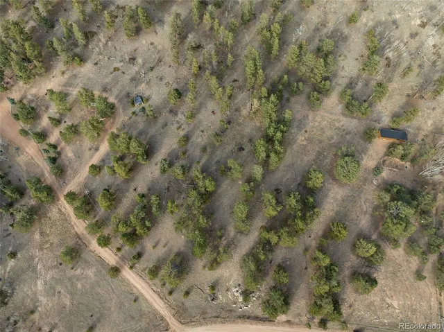 a view of a forest with a yard