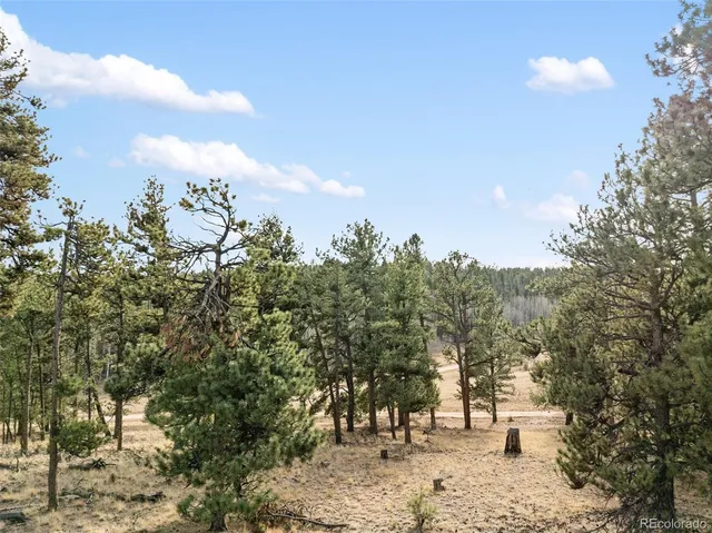 a view of outdoor space with trees all around