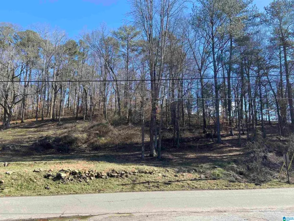 $225,000 | 0 Robinson Street, Unit 1, Springville, AL 35146