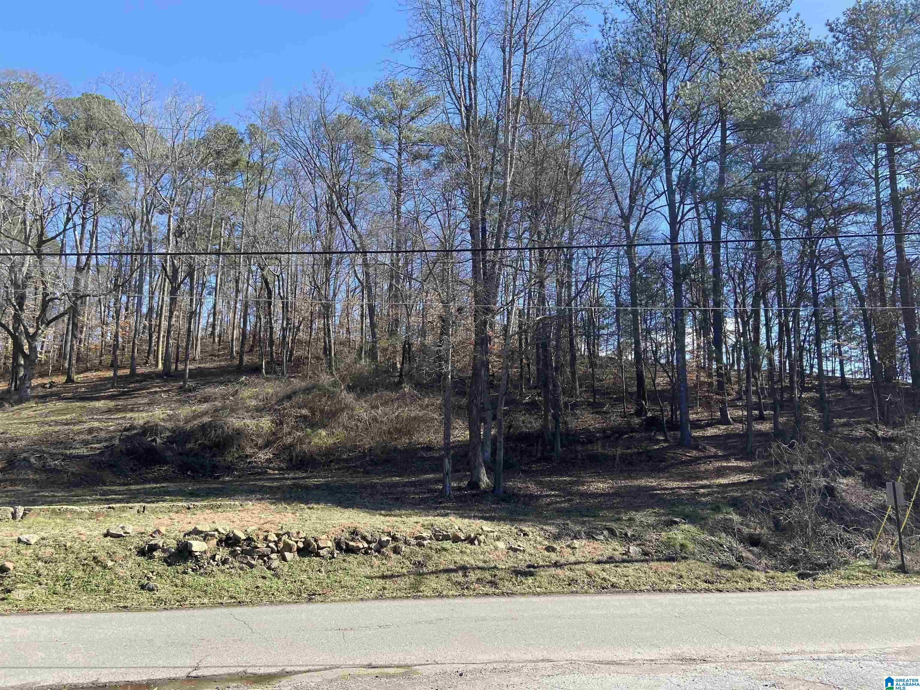 0 Robinson Street, Unit 1 Springville, AL 35146 - Photo 1 of 3