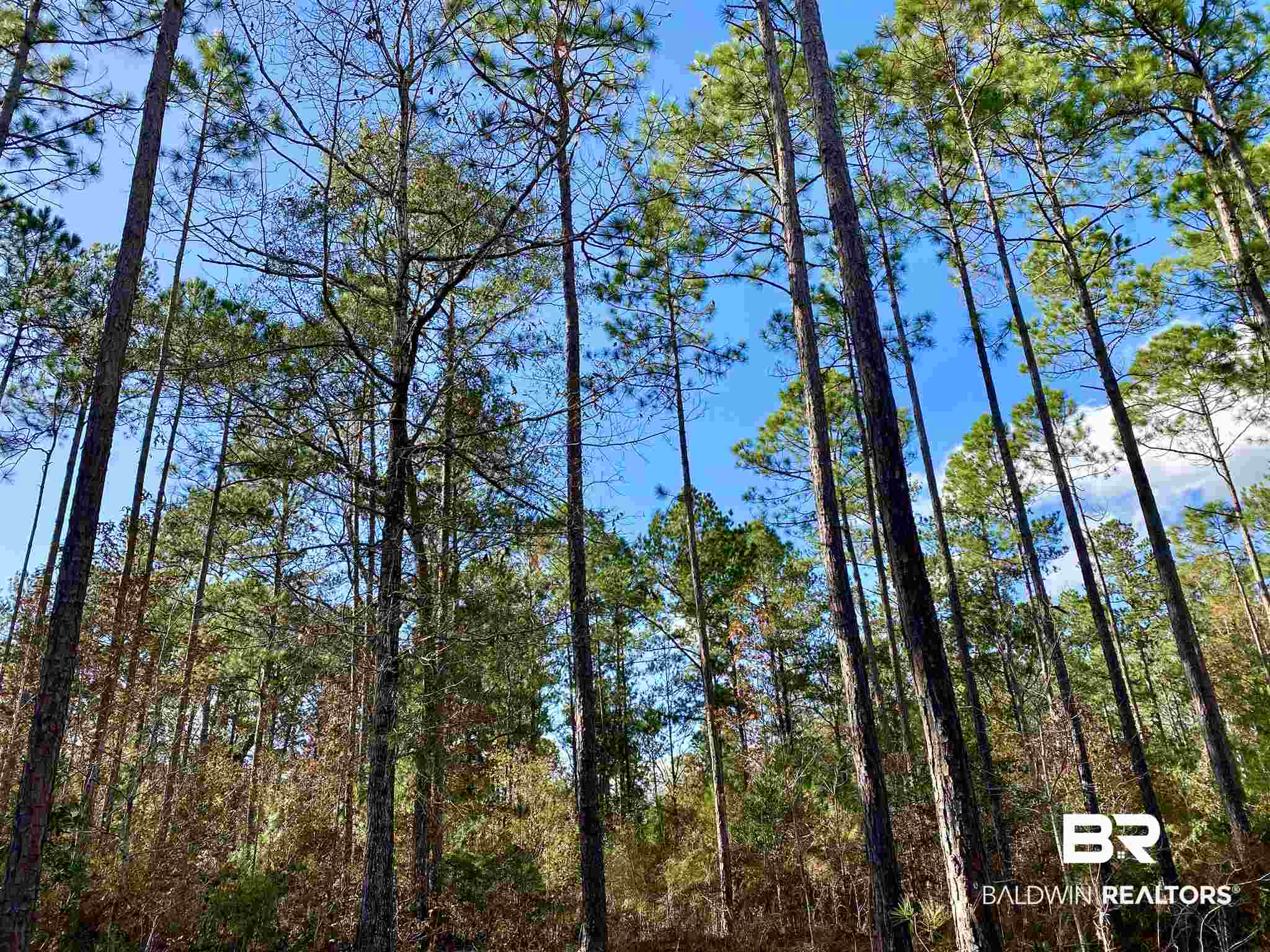 0 Whitetail Run Chatom, AL 36518 - Photo 15 of 29