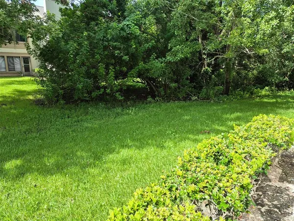 a view of a backyard with large trees