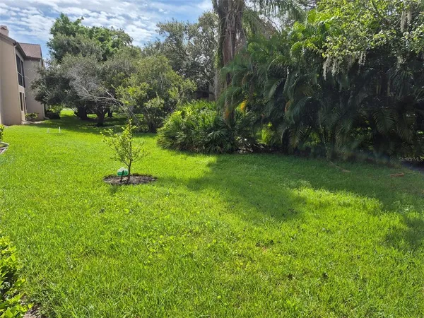 a view of a garden with a bench