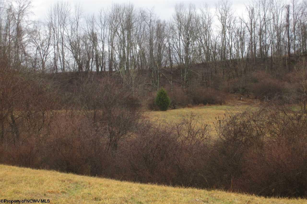 Tbd Oak Ridge Drive Mount Clare, WV 26408 - Photo 10 of 11 Gallery Image 10