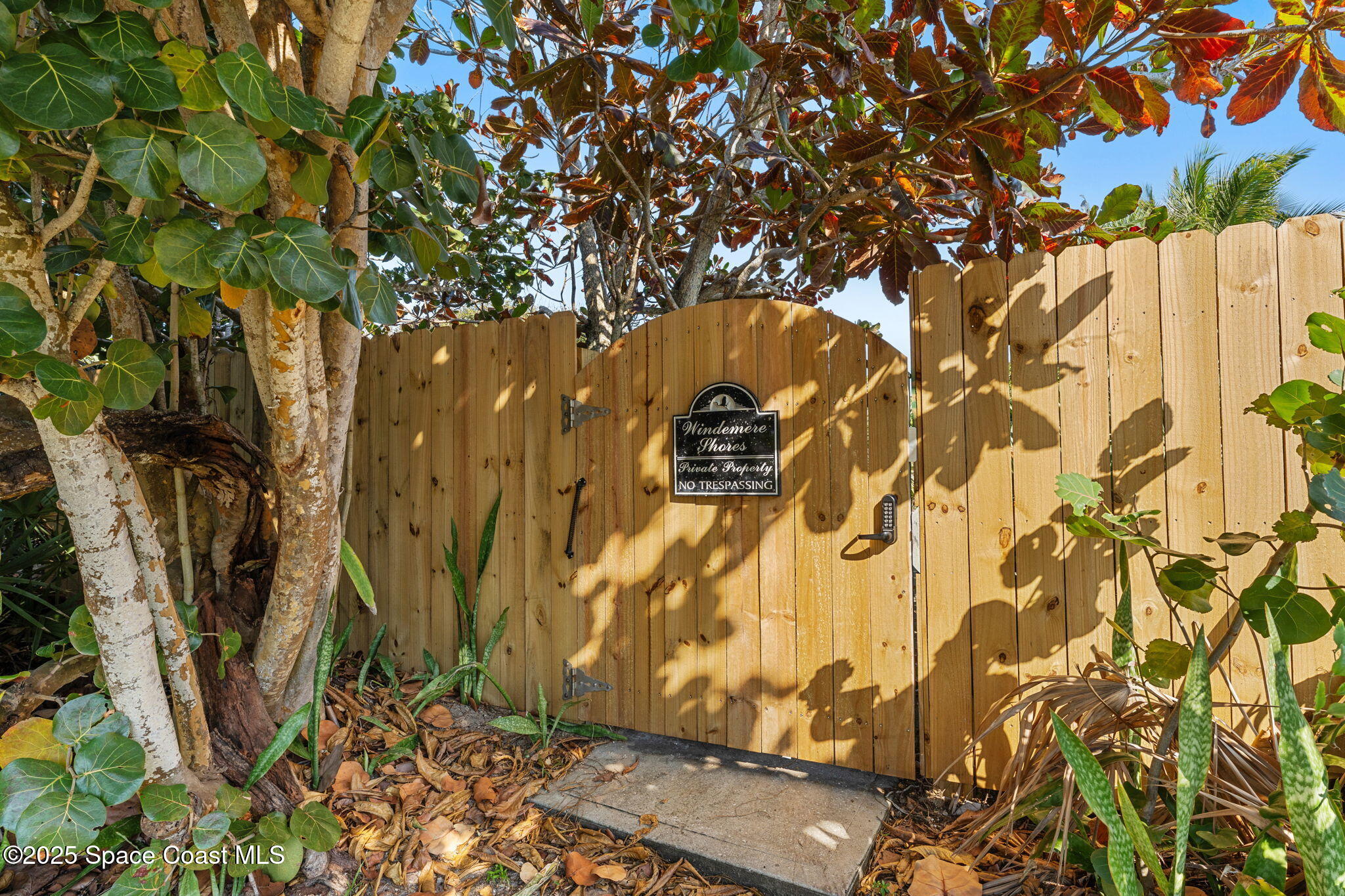 133 Windemere Place Melbourne Beach, FL 32951 - Photo 62 of 75 a view of a tree with a tree