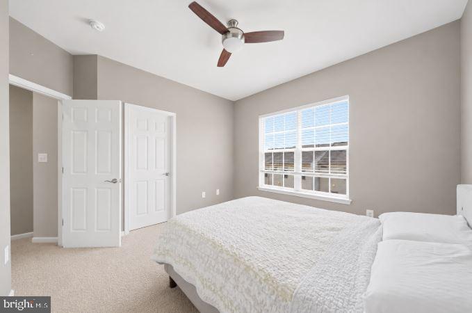 6251 Alexa Street Frederick, MD 21703 - Photo 34 of 61 Bright Second Master Bedroom