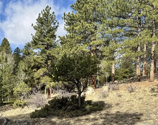 $225,000 | 30317 Aspen Turn, Buena Vista, CO 81211