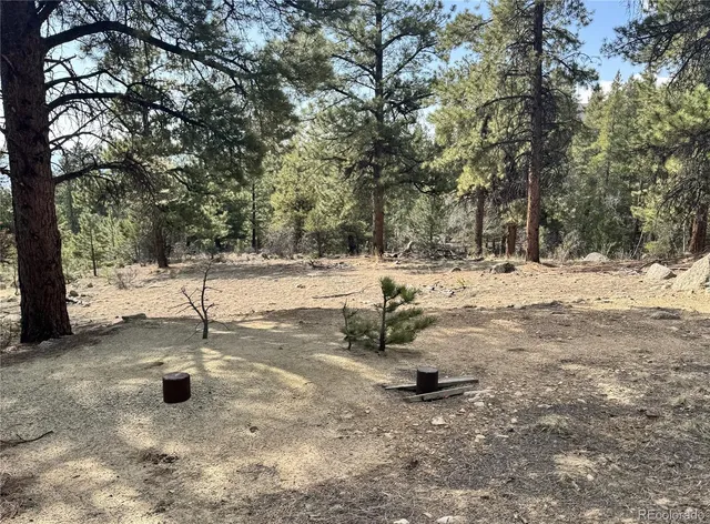 $225,000 | 30317 Aspen Turn, Buena Vista, CO 81211