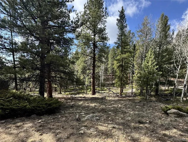 $225,000 | 30317 Aspen Turn, Buena Vista, CO 81211