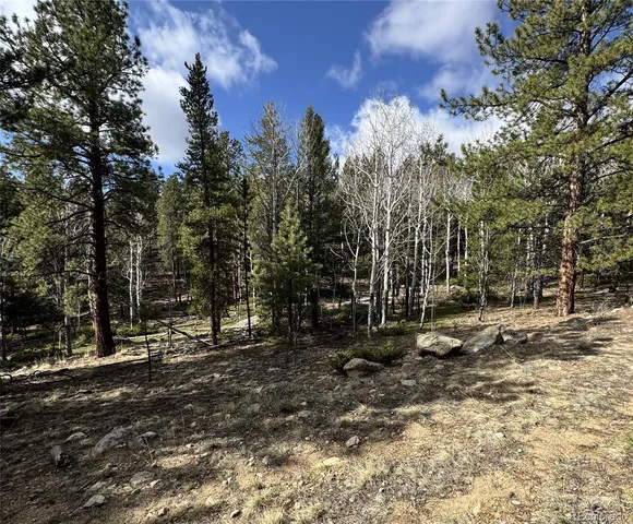 $225,000 | 30317 Aspen Turn, Buena Vista, CO 81211