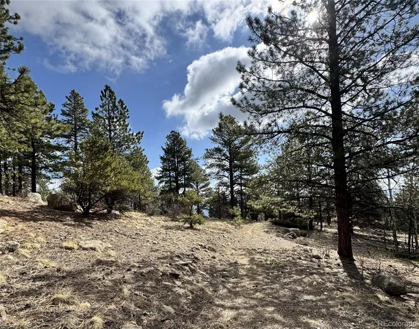 $225,000 | 30317 Aspen Turn, Buena Vista, CO 81211