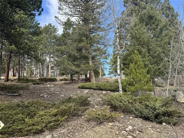 $225,000 | 30317 Aspen Turn, Buena Vista, CO 81211