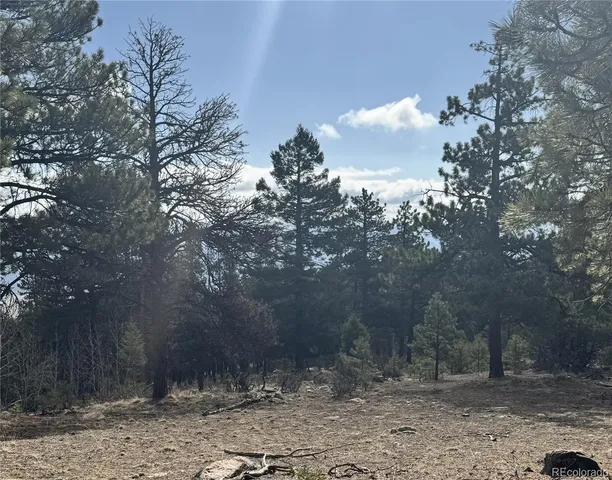 $225,000 | 30317 Aspen Turn, Buena Vista, CO 81211