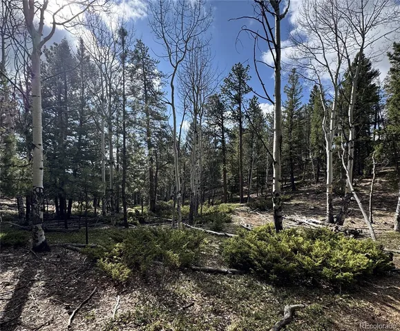 $225,000 | 30317 Aspen Turn, Buena Vista, CO 81211