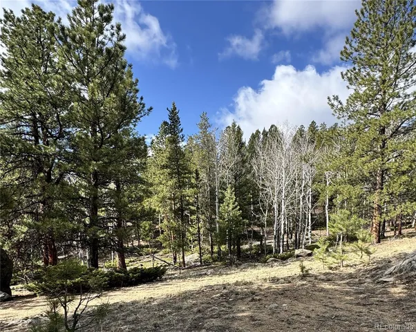 $225,000 | 30317 Aspen Turn, Buena Vista, CO 81211