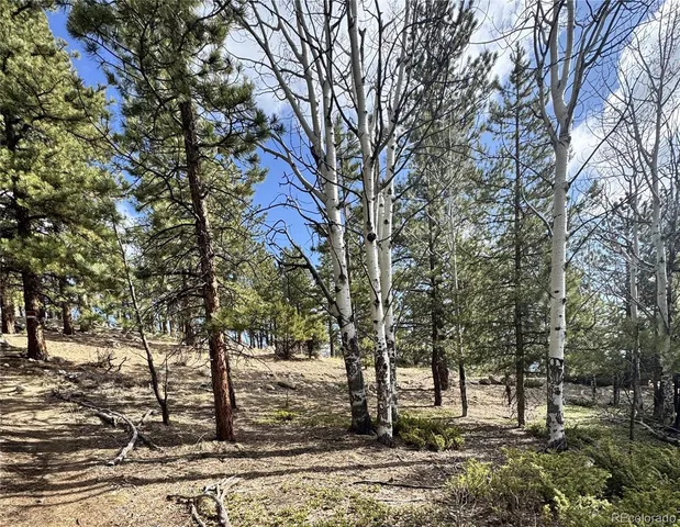 $225,000 | 30317 Aspen Turn, Buena Vista, CO 81211