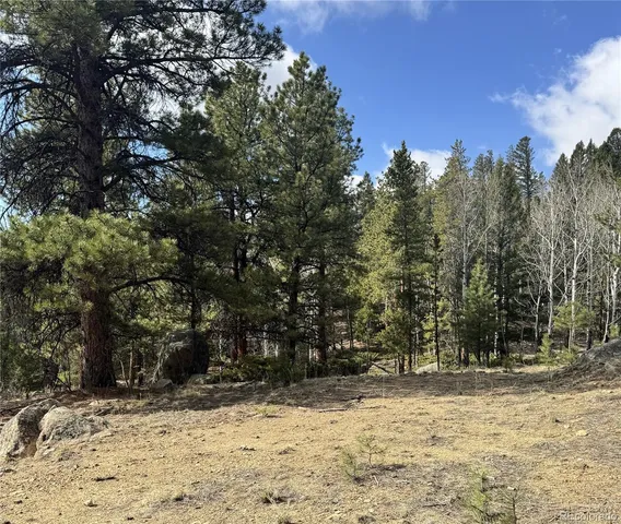 $225,000 | 30317 Aspen Turn, Buena Vista, CO 81211