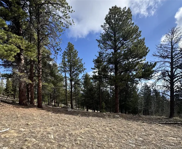 $225,000 | 30317 Aspen Turn, Buena Vista, CO 81211