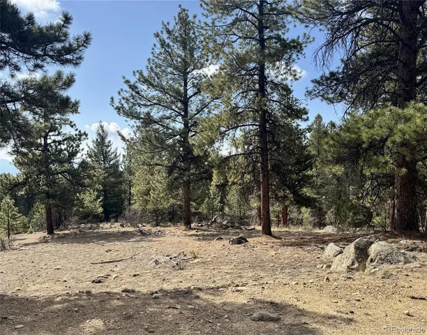 $225,000 | 30317 Aspen Turn, Buena Vista, CO 81211