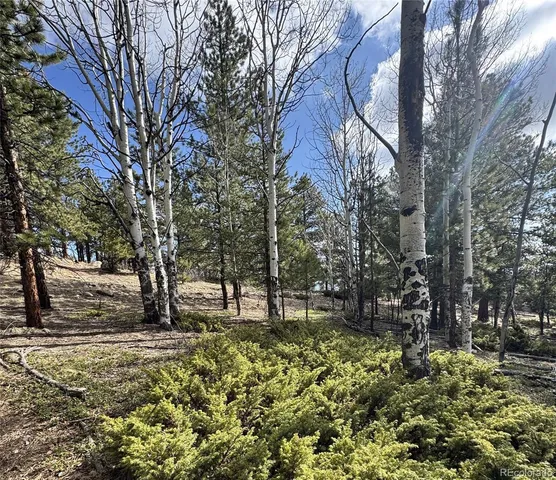 $225,000 | 30317 Aspen Turn, Buena Vista, CO 81211