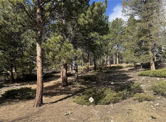 $225,000 | 30317 Aspen Turn, Buena Vista, CO 81211