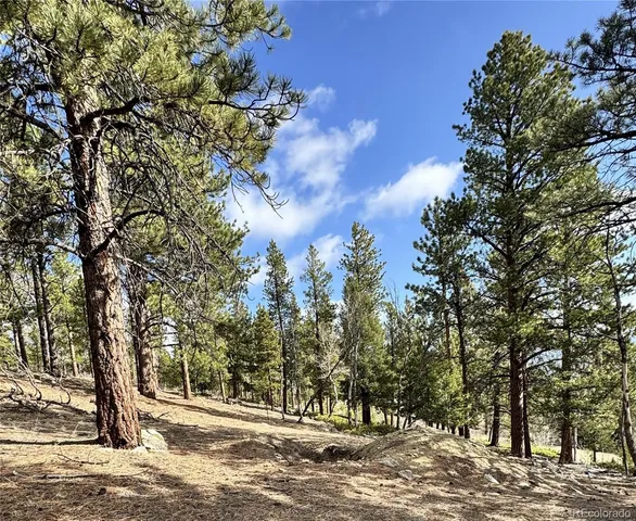 $225,000 | 30317 Aspen Turn, Buena Vista, CO 81211