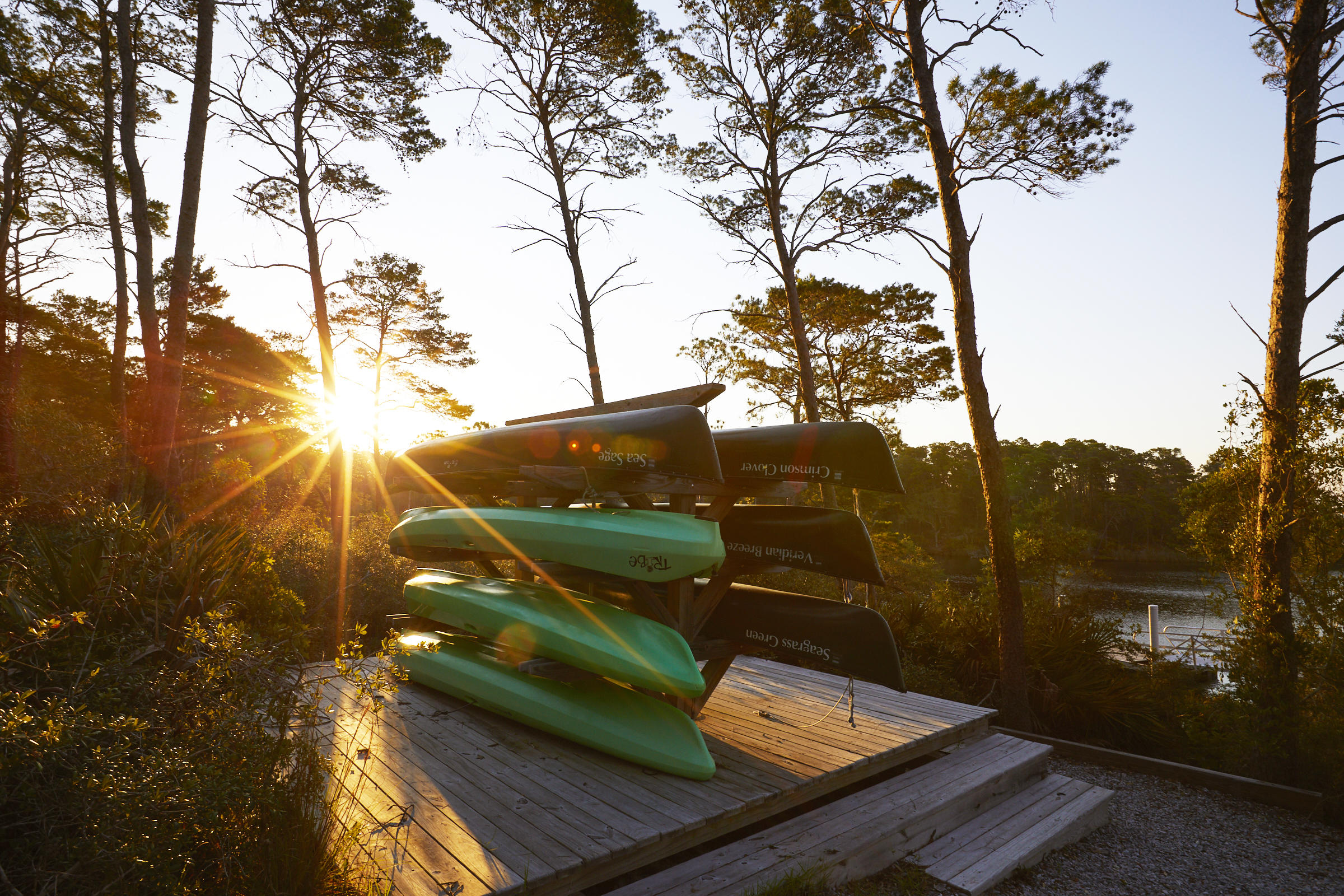 123 Sidecamp Road, Unit LOT 49 Watersound, FL 32461 - Photo 11 of 11 a view of a back yard of the house and green space