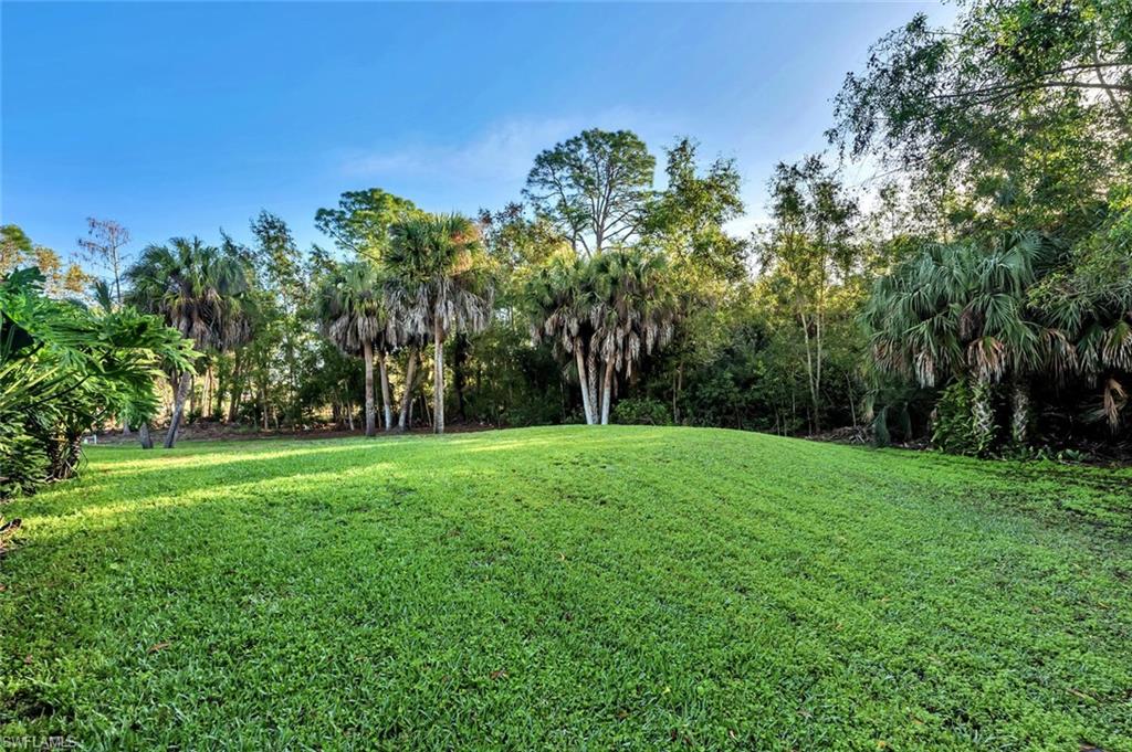 3110 70th Street Southwest Naples, FL 34105 - Photo 44 of 47 a view of a grassy field with trees in the background