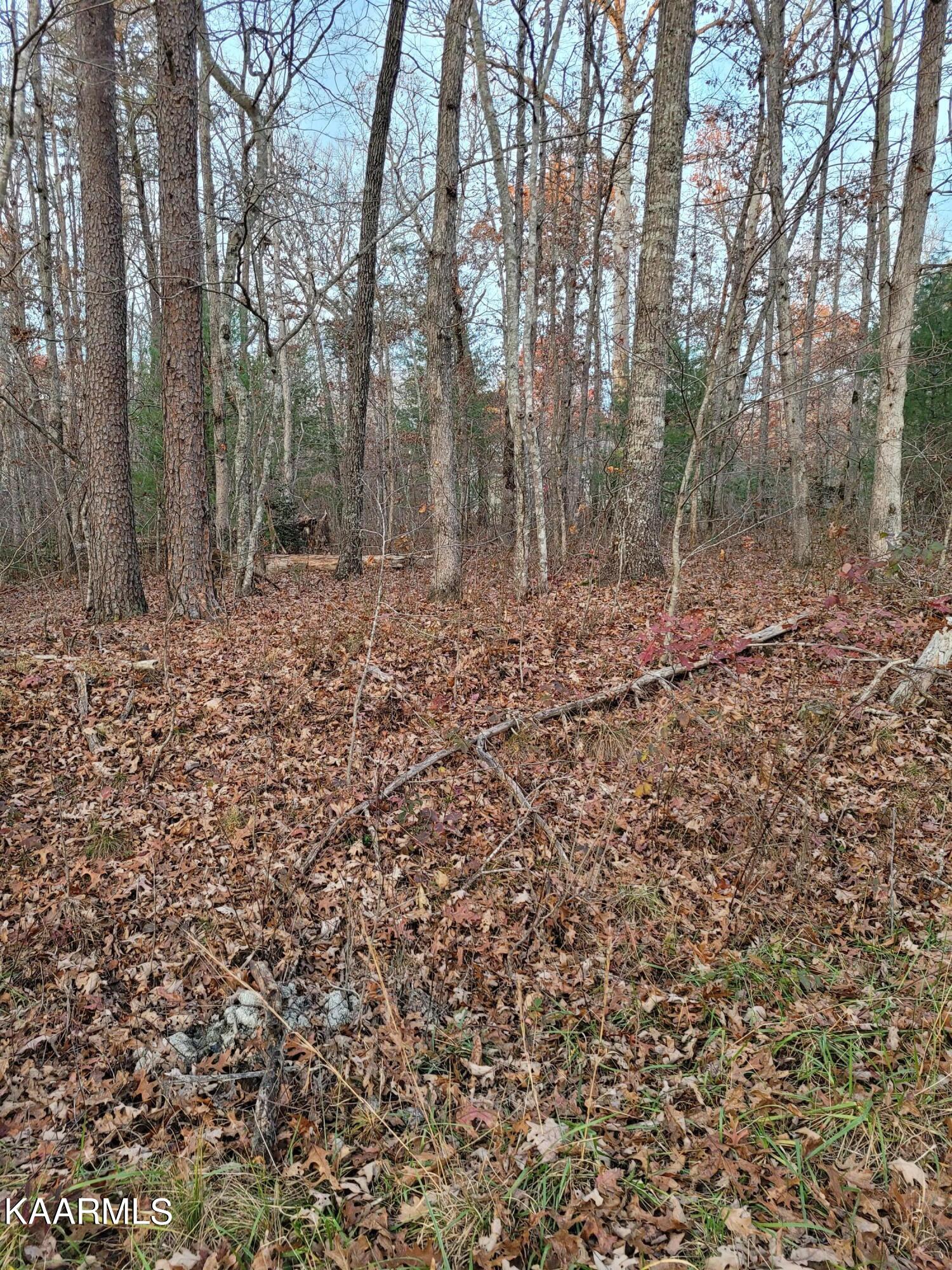 5347 Pawnee Road Crossville, TN 38572 - Photo 1 of 2 20211120_161819