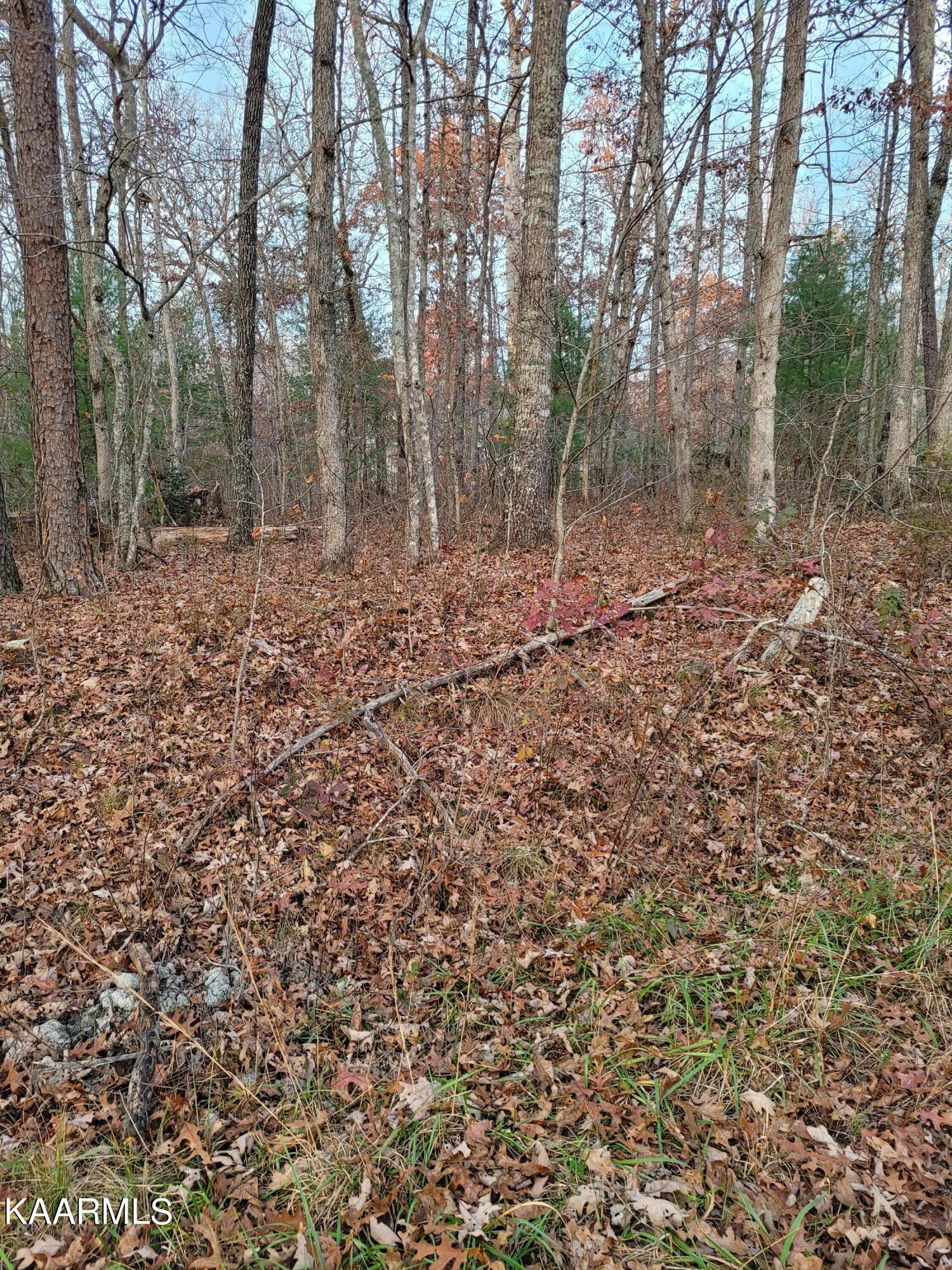 5347 Pawnee Road Crossville, TN 38572 - Photo 2 of 2 20211120_161824