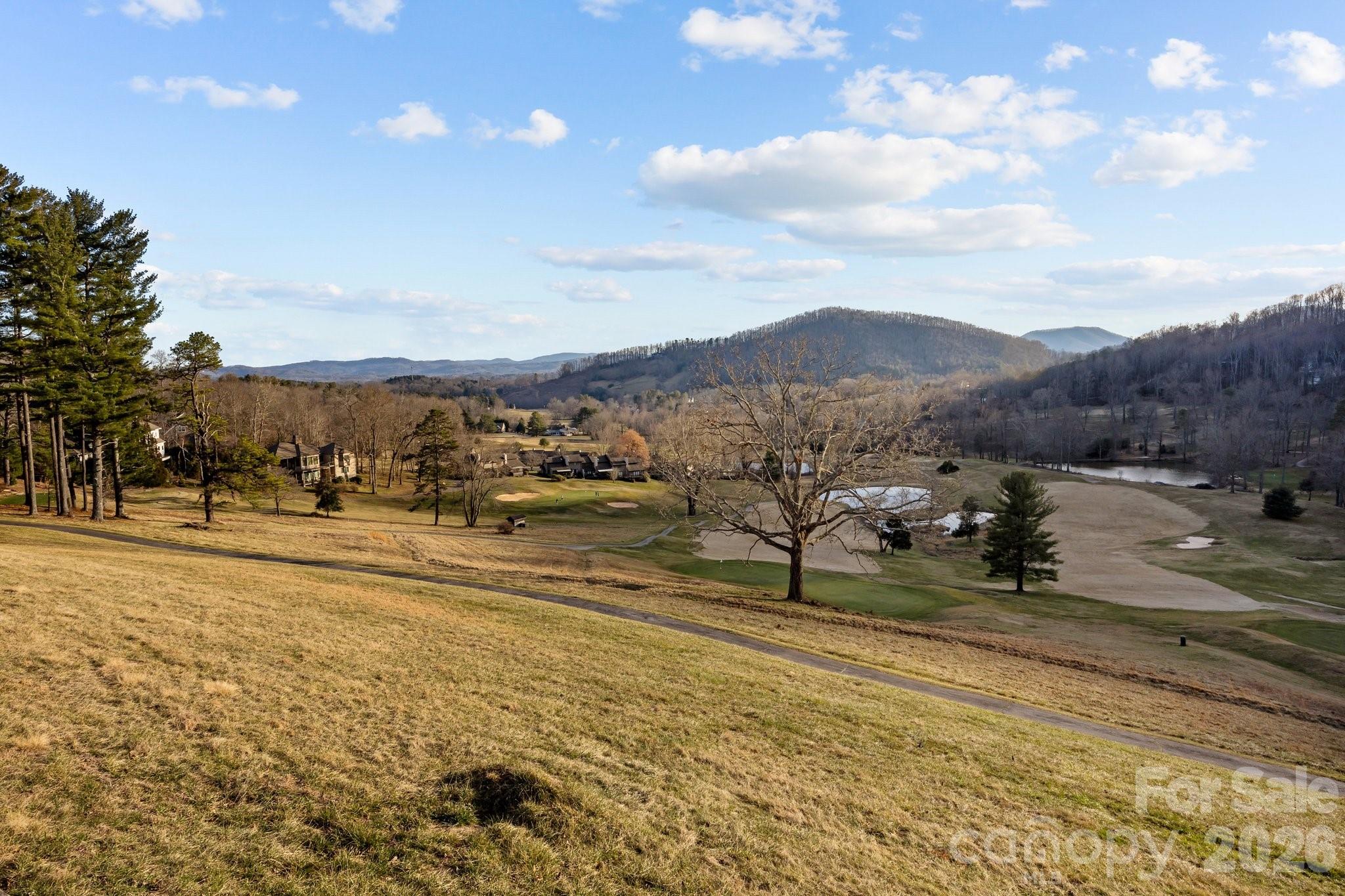 612 Vista Falls Road Mills River, NC 28759 - Photo 43 of 48