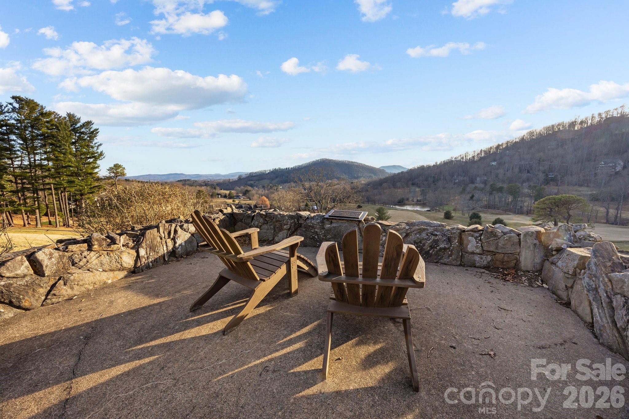 612 Vista Falls Road Mills River, NC 28759 - Photo 45 of 48