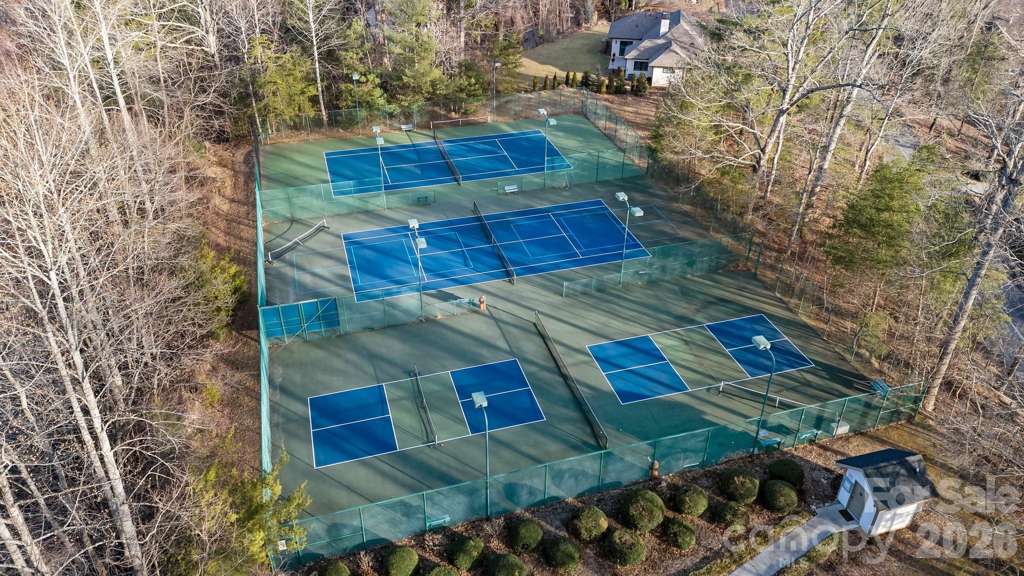 612 Vista Falls Road Mills River, NC 28759 - Photo 46 of 48