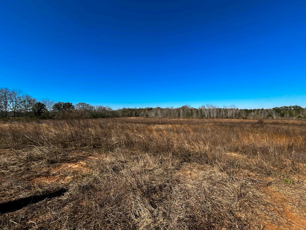2776 New Hinson Road Slocomb, AL 36375 - Photo 1 of 12
