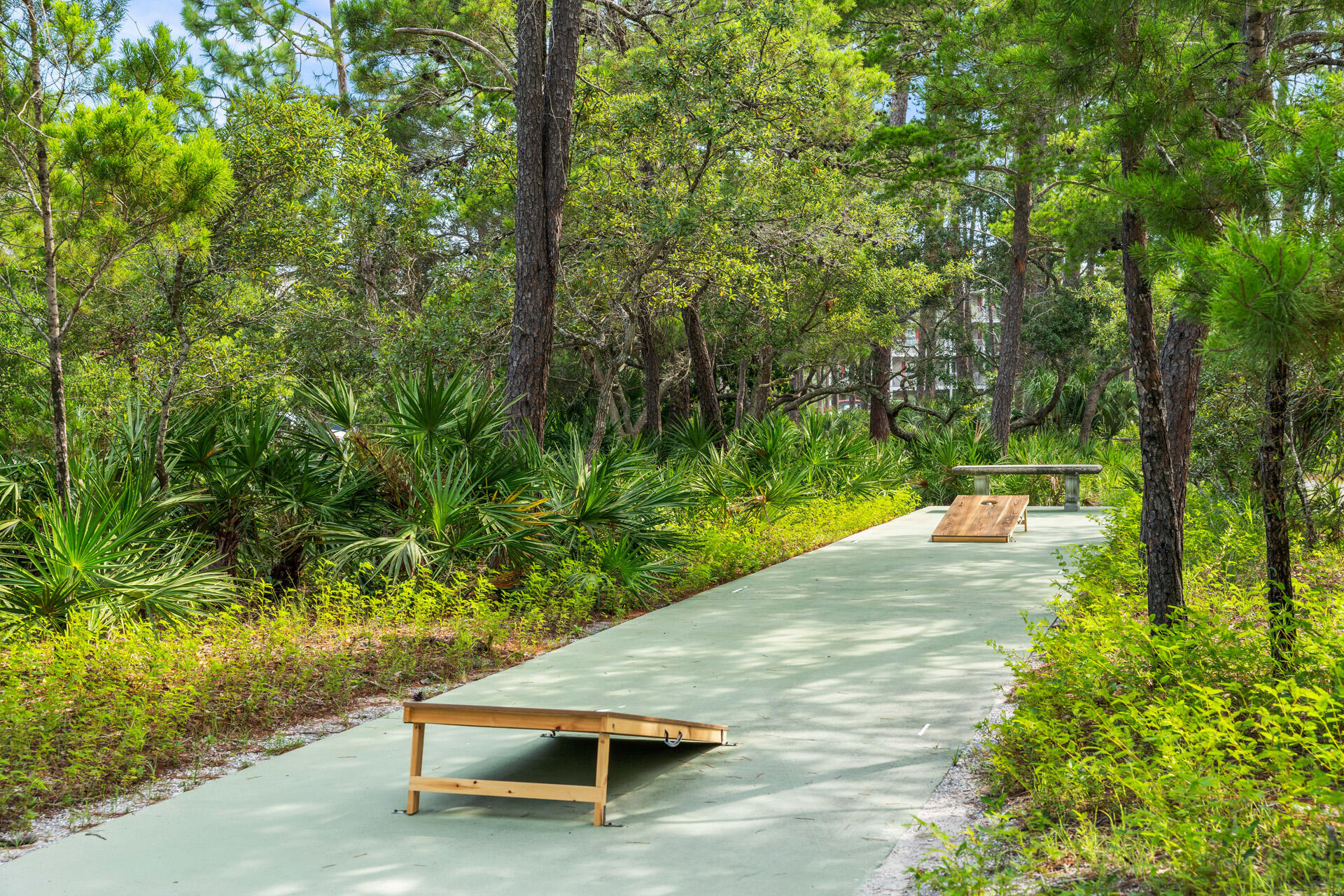 393 South Co Highway 393, Unit 203 Santa Rosa Beach, FL 32459 - Photo 33 of 40 a view of a park with large trees