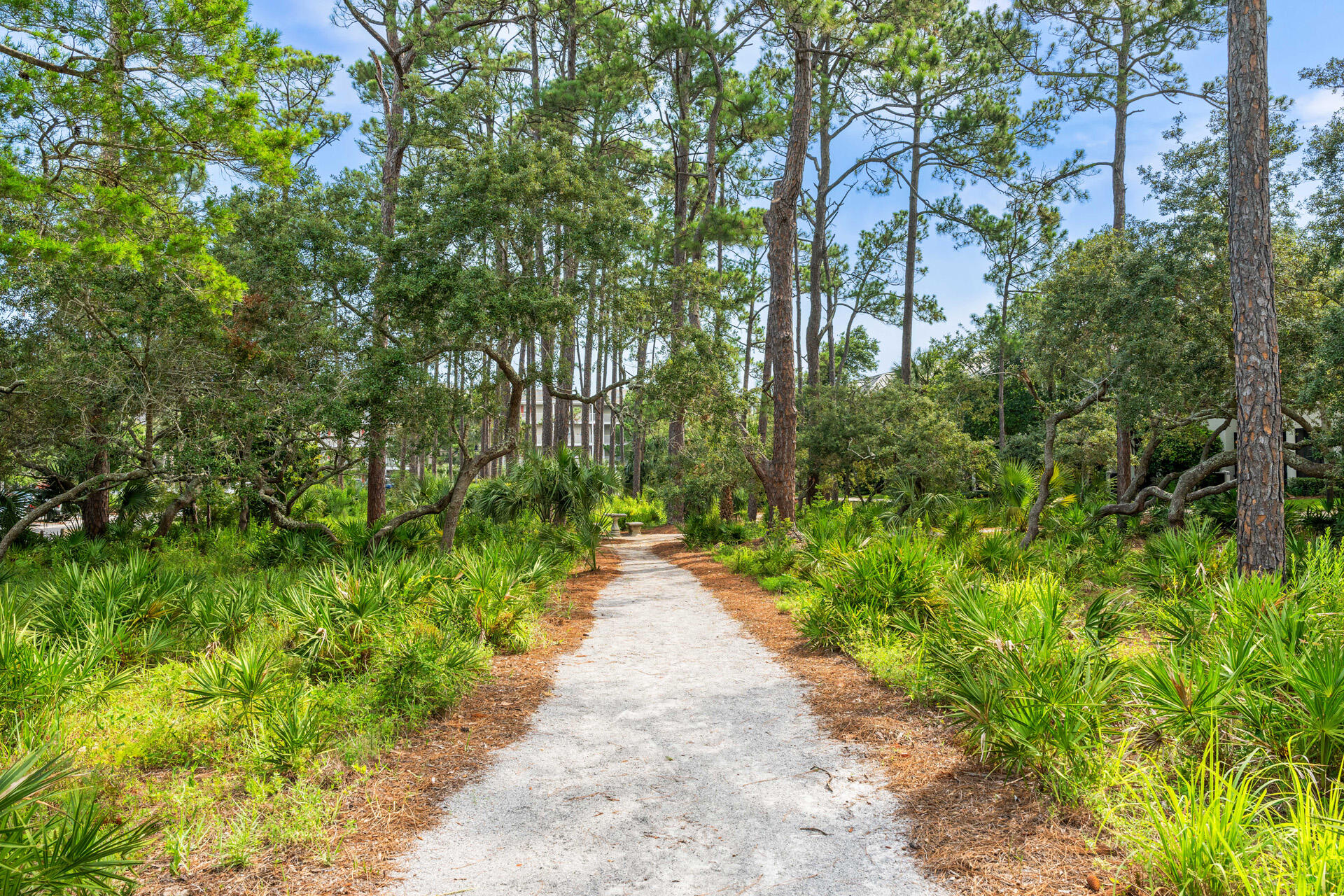 393 South Co Highway 393, Unit 203 Santa Rosa Beach, FL 32459 - Photo 35 of 40 a view of a pathway both side of yard