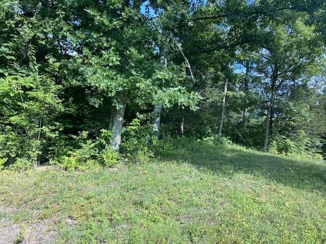 1383 Union Chapel Road Foster, KY 41043 - Photo 8 of 16 Gallery Image 8