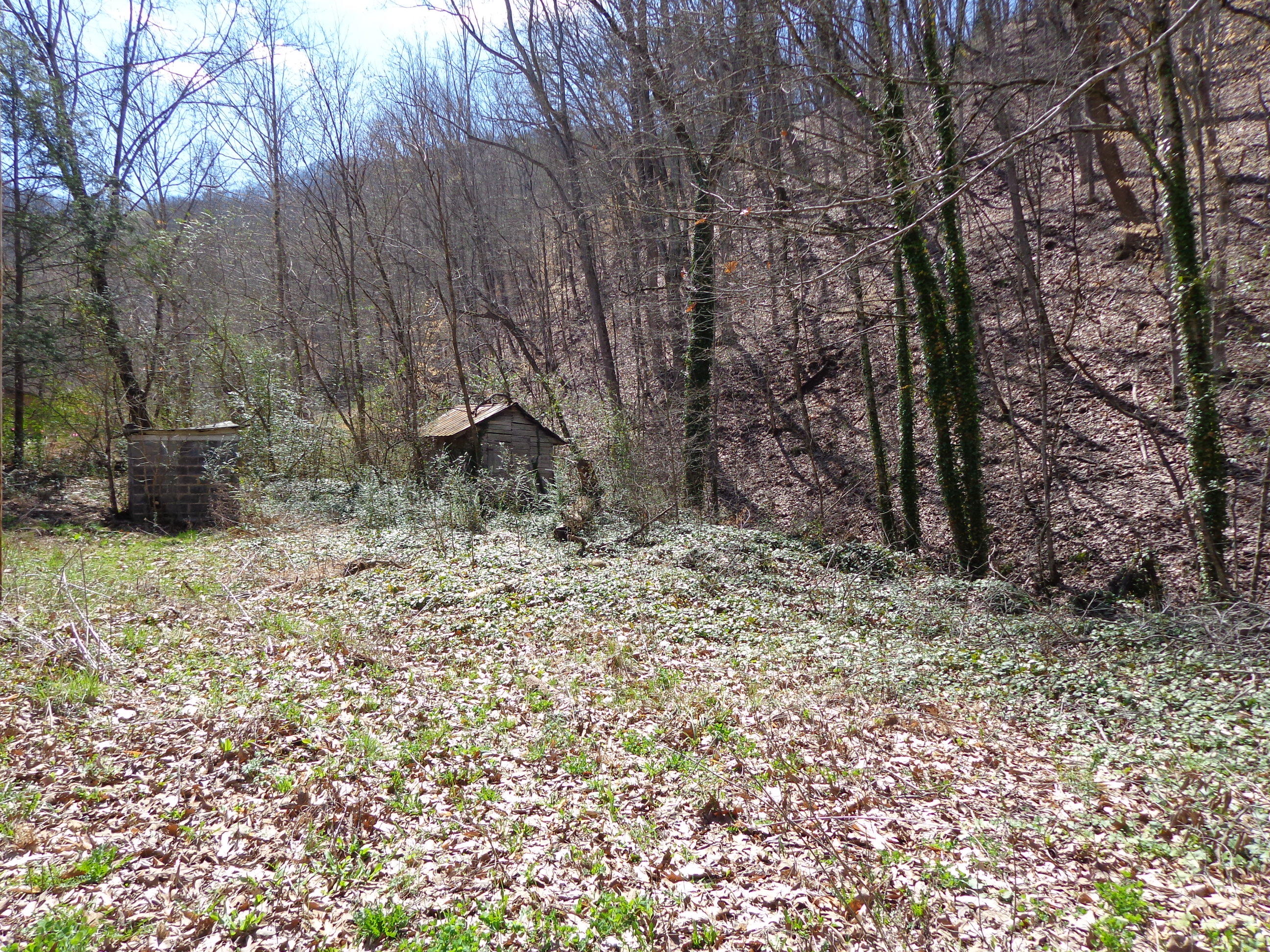 3451 Bridges Chapel Road Dandridge, TN 37725 - Photo 1 of 10 primary #560104 bridges chapel (6).JPG